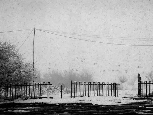 Anticipated autumn weather, according to The Old Farmer's Almanac, suggests a chillier-than-usual...