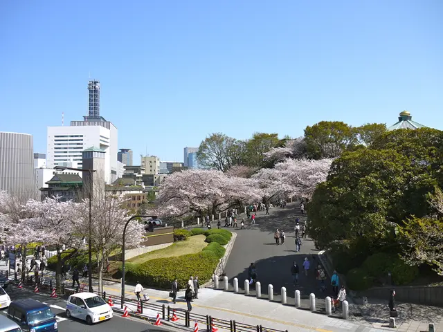 Eco-Friendly Transportation Solutions