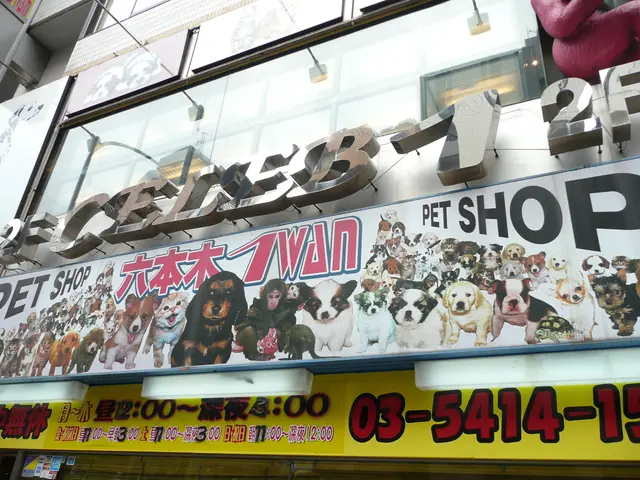 Exploring Histories and Modernity: The National Public Housing Museum in Chicago's Blend of...