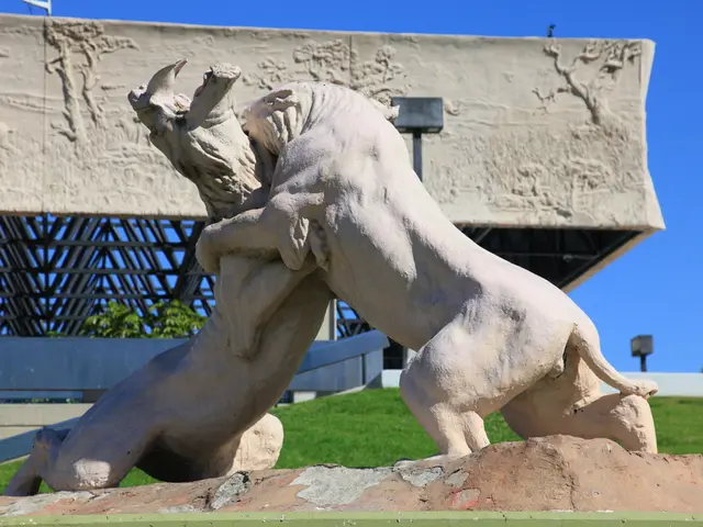 Aesthetic Exploration along the Düsseldorf-Kaarst Route