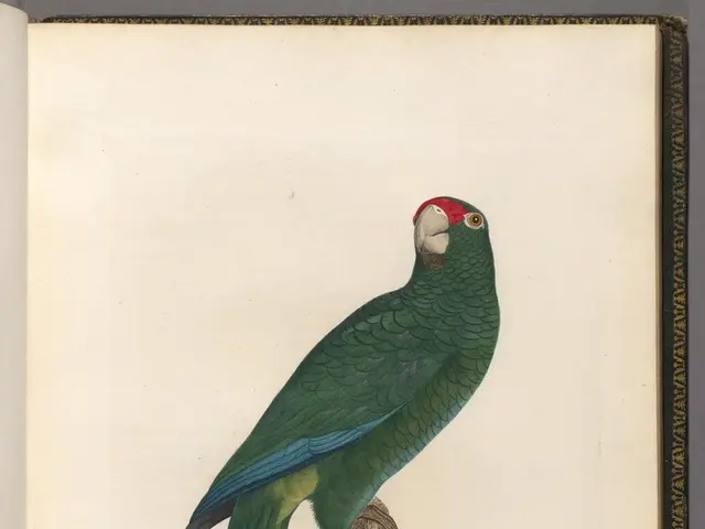 Holiday plans: Is it certain that the bus services aren't operating on Sundays?