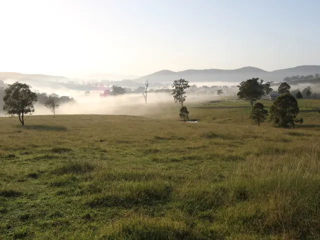 Lawn Nurturing Made Easy with Grasscycling Technique