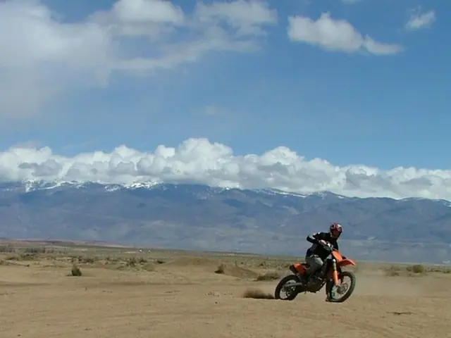 Computea chance to acquire a Self-Propelled Lawnmower manufactured by Cobra with an estimated value...