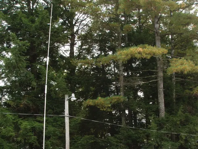 Salop Leisure Recognized as Top Used Caravan Supplier at the 2025 Owner Satisfaction Awards