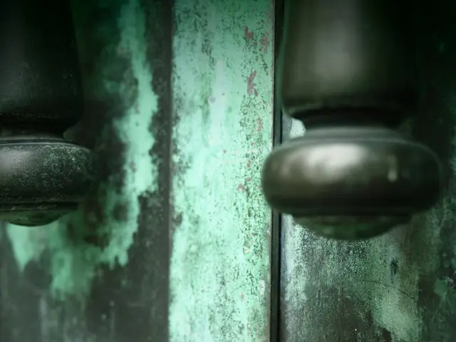 Instructions on Selecting Top-Notch Locks for Main Doors and Various Entryways