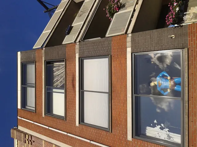 Housewarming Gift Suggestions: Top 8 Indoor Plants