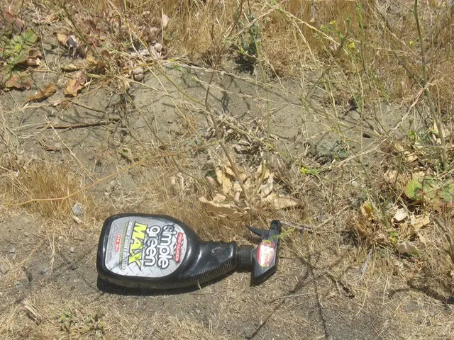 Essential Guidance on Employing Worm Compost for Your Vegetation