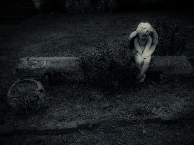 Creating a Homemade Moss Pole for Your Houseplants: Perfect for Nurturing Monstera, Pothos, and...