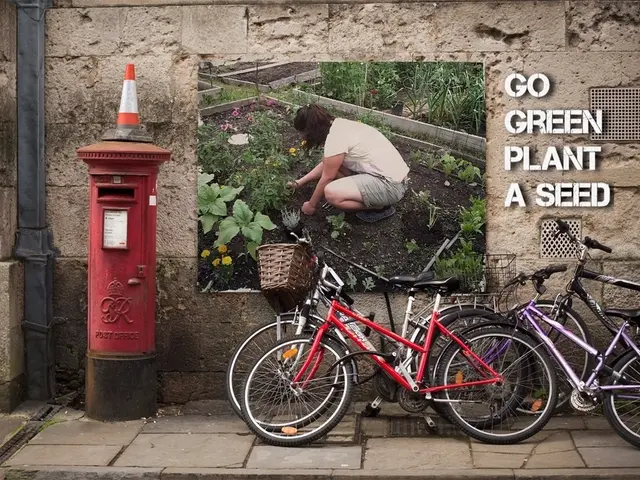 Museum seeks bicycle-riding postal workers for historical exhibition
