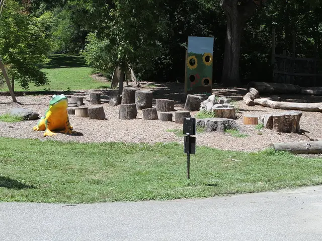 Construction Commences!