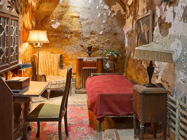 Reutilize your old tights in your garden this summer, a space-efficient trick recommended by garden...