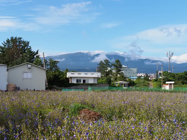 Solar Energy Installation for Homes