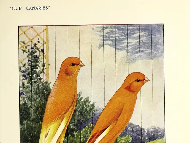 Sunflower's cohabitants at Bird Park Ohligs: Bacillus discovery and its Jendaya companions