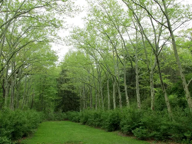 "Ecology should be the prime focus in all our considerations," asserted Alys Fowler, touching on...