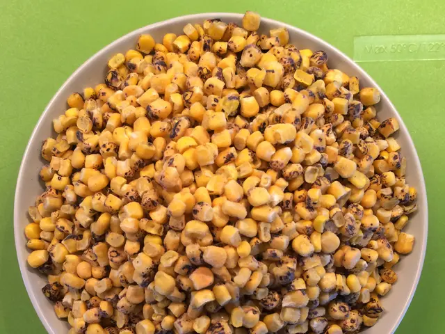 Mastering Seed Packets for Novice Gardeners: Expert Guidance on Decoding Backside Data