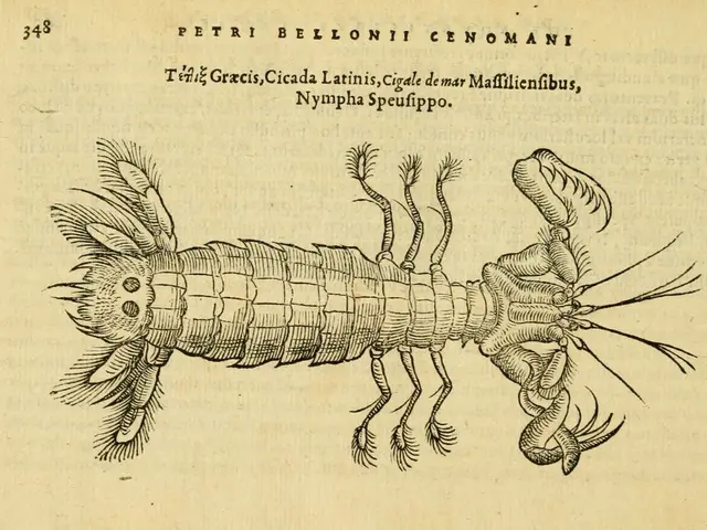 Fourteenth edition of "No Bees, No Life" magazine, our online publication, was released