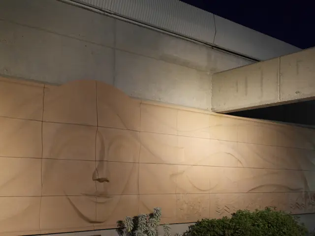 Landscaper embarks on urban transformation quest for aesthetic enhancement