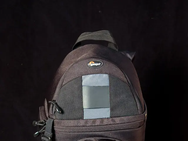 Eco-Friendly Innovation: The Surge of Biodegradable Canine Waste Bags