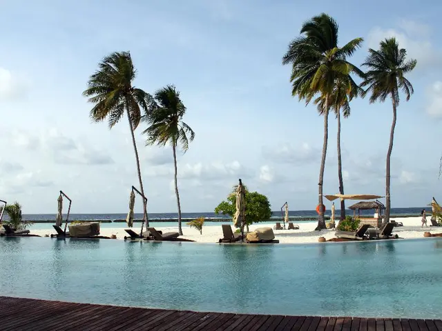 Beachgoers relish the heat while conducting commercial activities