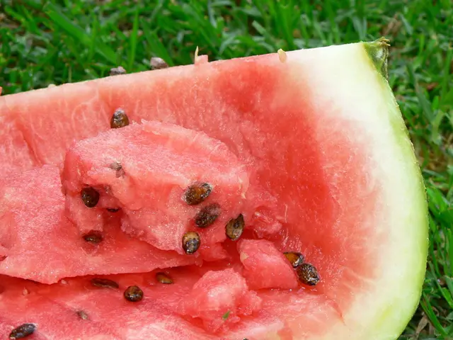 Vacuum-aided watermelon carving provoking fascination amongst people, explained