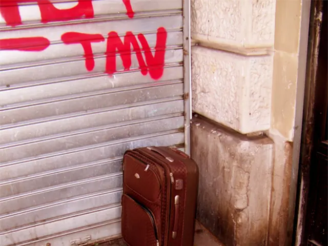 Costco's renowned suitcases have arrived in Seville: here's a breakdown of sizes and costs