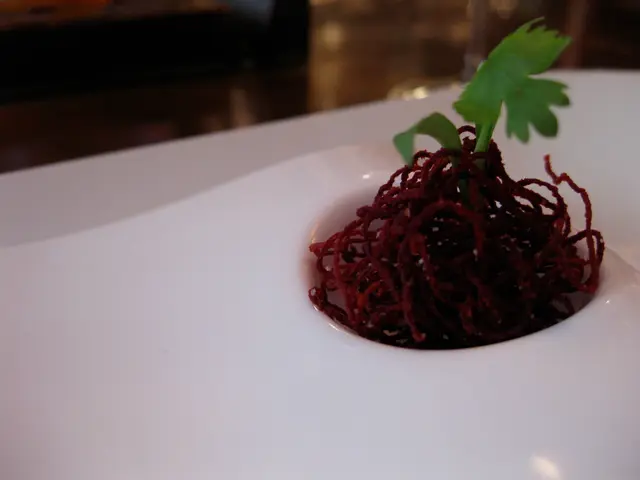 August Planting Choices: My Top 25 Picks