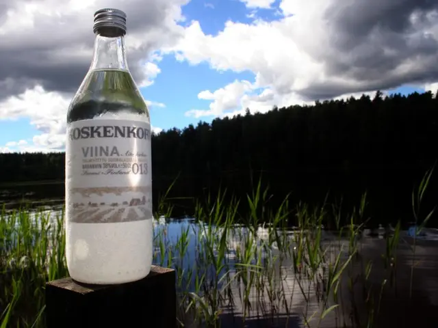 Top Air-Purifying Plants for a Cleaner Home Interior