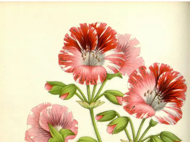 Fables Anthology - Tale Eleven