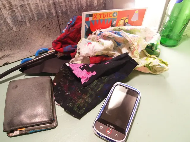 Strategies for Making Homes Economical Yet Presentable Before Visitors Arrive - 'Concealing Used...