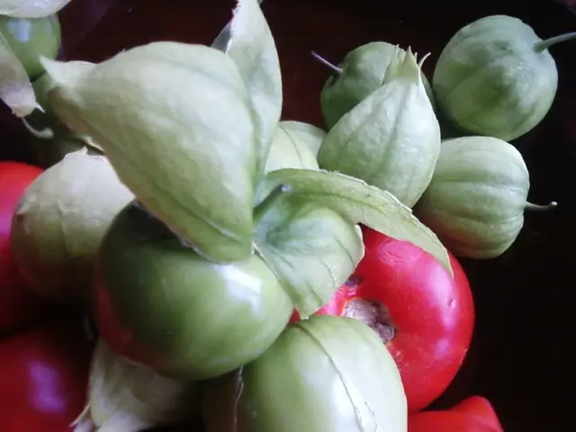 Enjoy a variety of fruits and vegetables with Monty