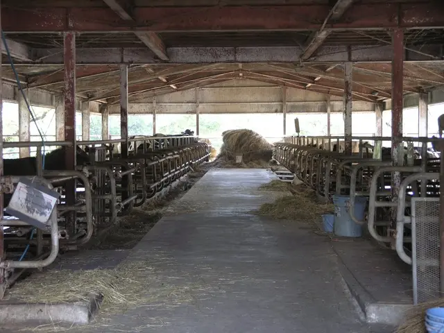 Hiding Your Garden Shed: 5 Strategies to Blend Outdoor Storage and Preserve Your Yard Aesthetics