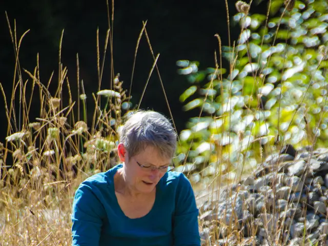 Cultivating Combinations for Plant Pairing in Elevated Garden Plots