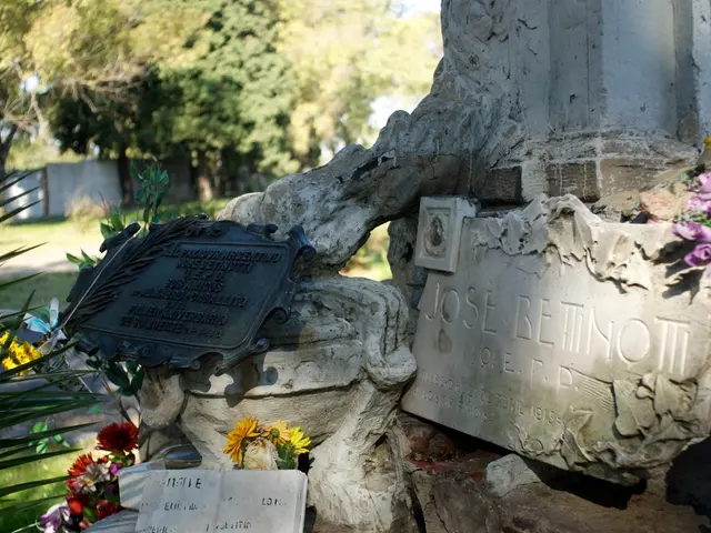World's Second Largest Lemurian Seed Crystal Now Resides in Dubai