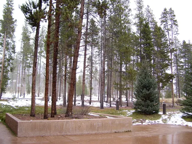 Preparing the Garden for Winter: Tasks and Steps for Winter Gardening