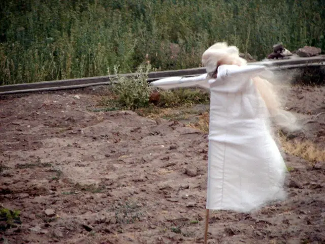 Raccoons could potentially prove beneficial, unanticipated allies for gardeners.