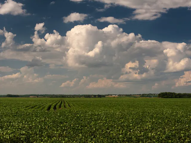 Rising green interest among Gen Z members, yet purchasing decisions impacted by inflation