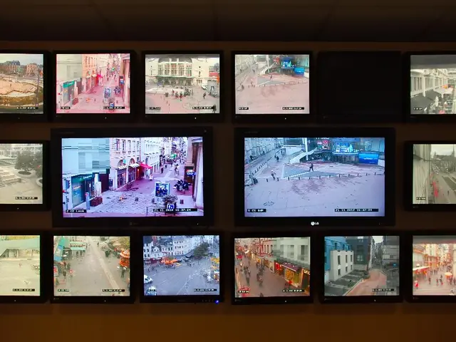 Unveiling the Enhancing Impact of High-End IPTV Services on Intelligent Households