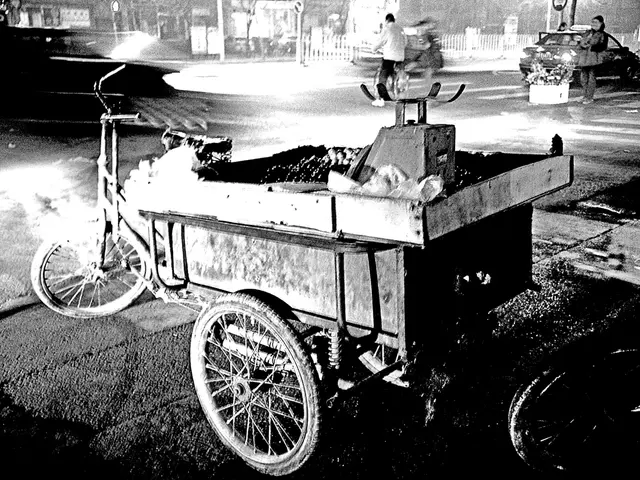 Cities of Neukirchen-Vluyn Showcasing Rickshaws during the CSD Event