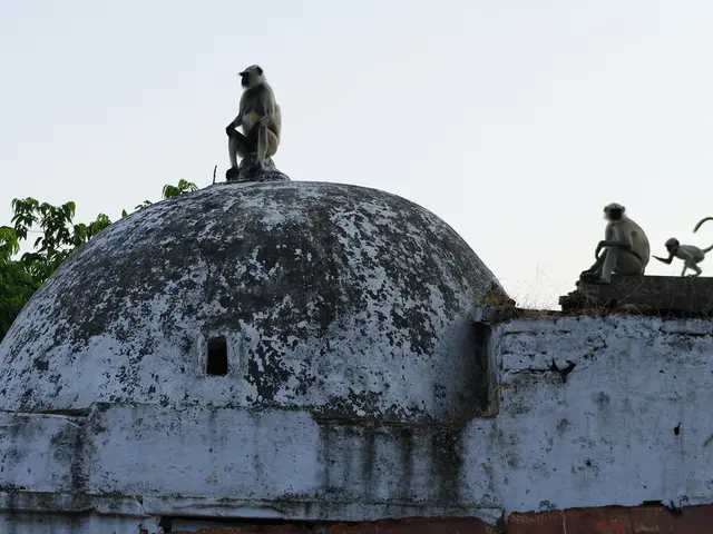 Prime Video's top-ranked films - three must-see movies you shouldn't miss at the moment