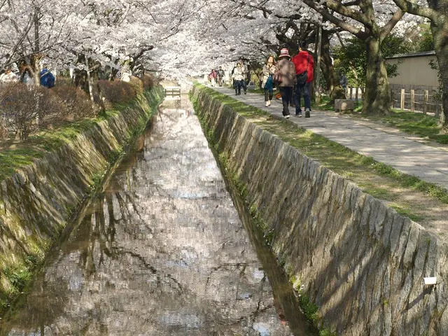 Urban Survival Essentials: The Role of Silcock Keys in City Life