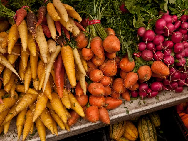 Growing 8 Delicious Varieties of Root Vegetables Every Gardener Ought to Cultivate