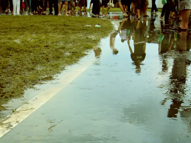 Steer Clear of Utilizing "Weed 'n Feed" for Your Lawn: Here's Why