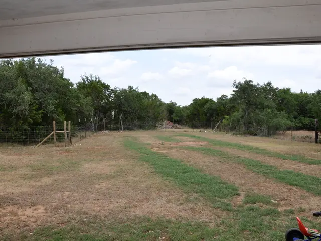 Homesteading Dream Destinations for Newcomers: Top 10 States to Ponder