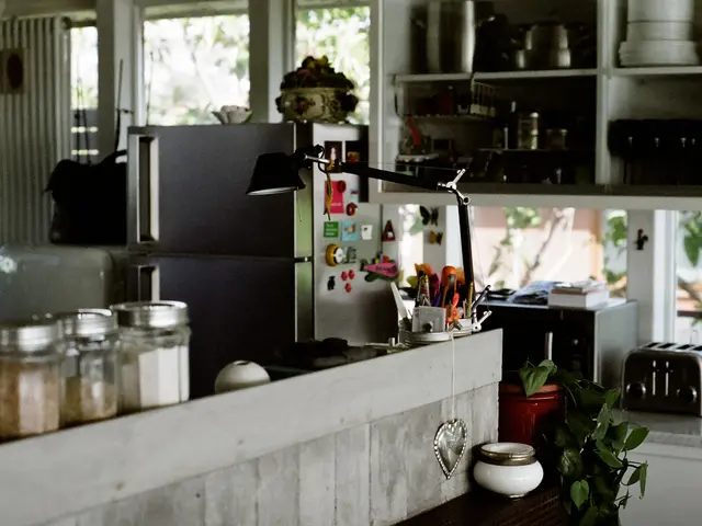 Introducing a selection of indoor and outdoor kitchen appliances from True Residential.