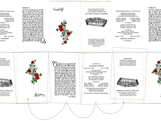 DIY Suncatcher: Decorative Paper Plate Heart Design