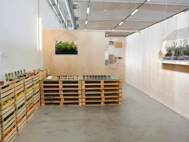 What Light is Ideal for the Coral in Your Aquarium?