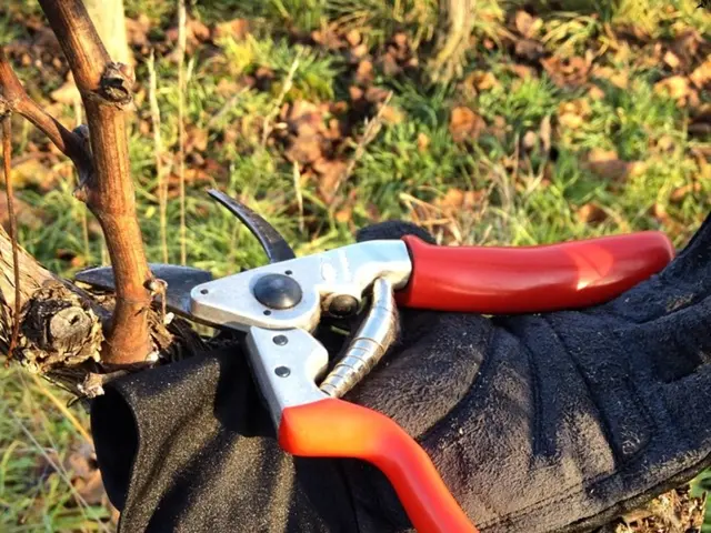 Avoid These Mistakes on Your Lawn Maintenance