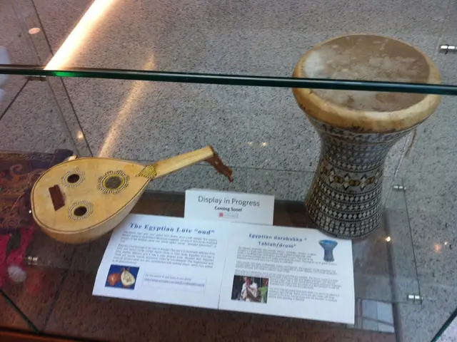 Revamp and Shield Warped Vinyl Records with Ease