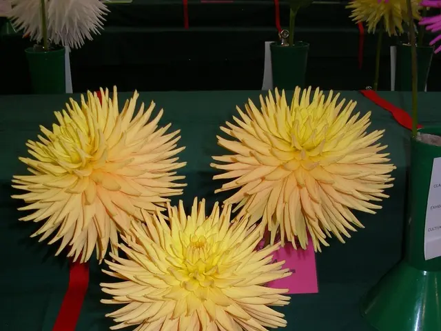 Meticulous Artistry in Chelsea Physic Garden: A glimpse into the three-day painting process of the...