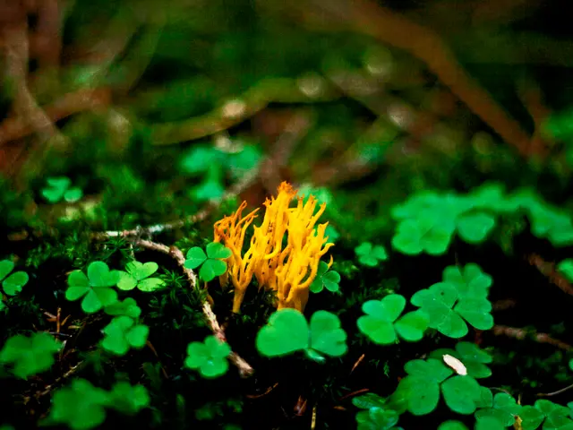 Regenerating Earth's Fertility: Recycling and Rejuvenating for Future Harvest